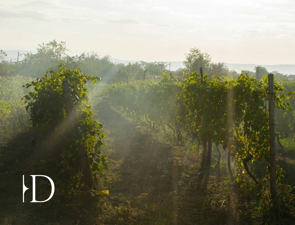 David Veilleux Family Office